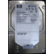 HP 454228-001 146Gb 15k SAS HDD (Краснозаводск)