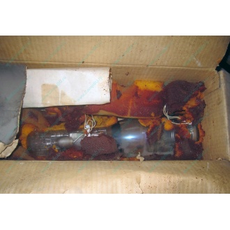 13ЛН8 (Краснозаводск)