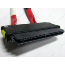SATA-кабель для корзины HDD HP 451782-001 459190-001 для HP ML310 G5 (Краснозаводск)