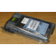 Жесткий диск HP 356910-008 404708-001 146.8Gb ATLAS 10K BD146BA4B5 (Краснозаводск)