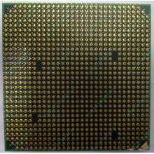 Процессор AMD Athlon 64300+ (1.8GHz) ADA3000IAA4CN s.AM2 (Краснозаводск)